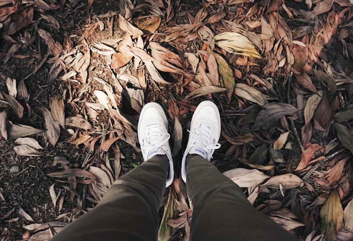 pohled na boty reebok na zemi poseté listy