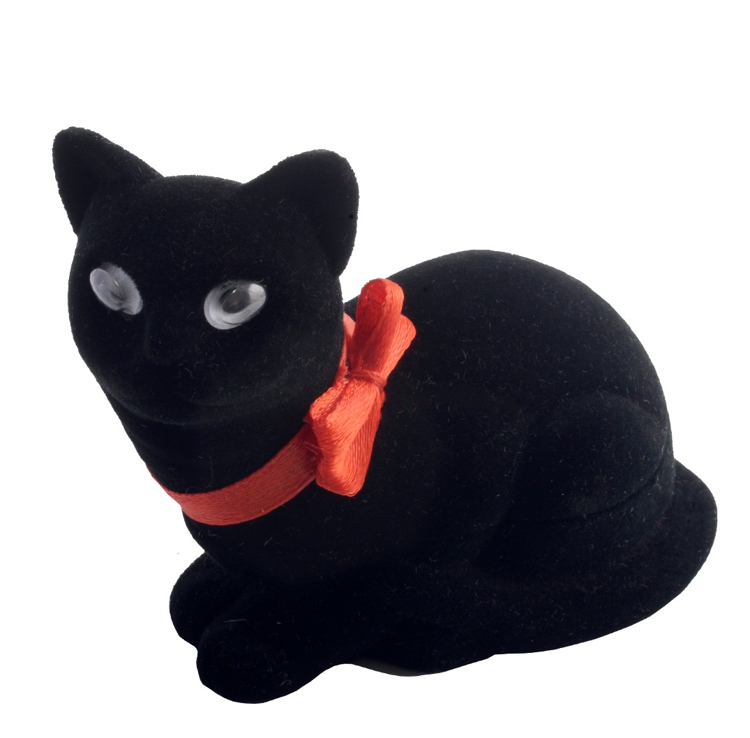 Černá kočička i