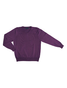 Pánský svetr AMJ Style - tmavě fialový SX021