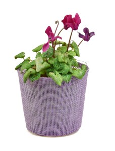 Květináč fialový s igelitovou vložkou - 15 x 13 cm