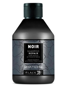 BLACK Noir Repair Shampoo 300ml - šampon s extraktem z opuncie mexické