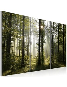 Murando DeLuxe Třídílný obraz lesní kouzlo + háčky a hřebíčky ZDARMA
