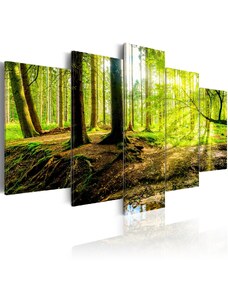Murando DeLuxe Vícedílný obraz lesní potok + háčky a hřebíčky ZDARMA