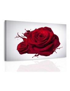 Malvis Obraz rudá růže