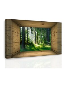 Malvis 3D obraz výhled do lesa