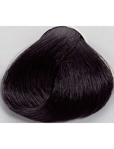 Black Professionals Black Sintesis barva na vlasy 3.0 - 100 ml