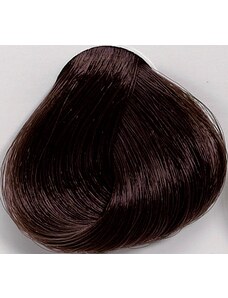 Black Professionals Black Sintesis barva na vlasy 6.1 - 100 ml