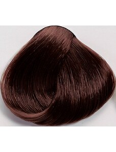 Black Professionals Black Sintesis barva na vlasy 6.3 - 100 ml