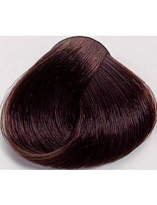 Black Professionals Black Sintesis barva na vlasy 5.3 - 100 ml