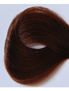 Black Professionals Black Sintesis barva na vlasy 4.03 - 100 ml