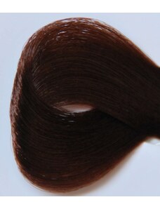 Black Professionals Black Sintesis barva na vlasy 5.56 - 100 ml