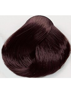Black Professionals Black Sintesis barva na vlasy 3.05 - 100 ml