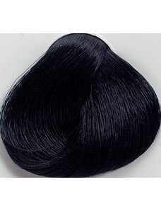 Black Professionals Black Sintesis barva na vlasy 1.11 - 100 ml