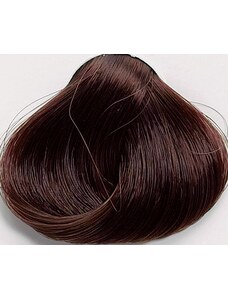 Black Professionals Black Sintesis barva na vlasy 5.34 - 100 ml