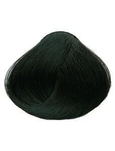 Black Professionals Black Sintesis barva na vlasy 2.05 - 100 ml