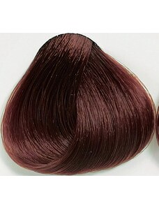Black Professionals Black Sintesis barva na vlasy 5.45 - 100 ml