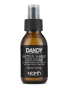 Niamh Hairkoncept Dandy After Shave Cologne 100 ml - sprejová lotion po holení