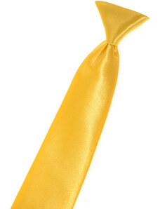 Chlapecká kravata Avantgard - žlutá 558-9027-0