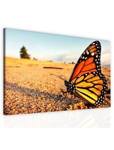 Malvis Jednodílný obraz motýl