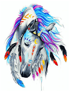 Gaira Malování podle čísel Kůň Indiánů M991970