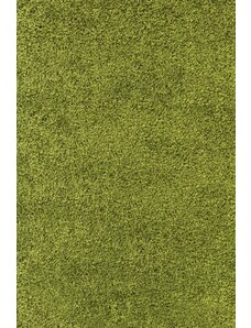 Ayyildiz koberce Kusový koberec Life Shaggy 1500 green - 60x110 cm