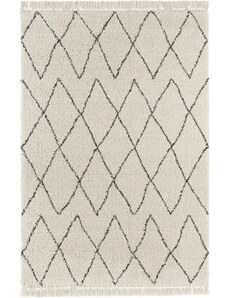 Mint Rugs - Hanse Home koberce Kusový koberec Desiré 103324 Creme - 120x170 cm