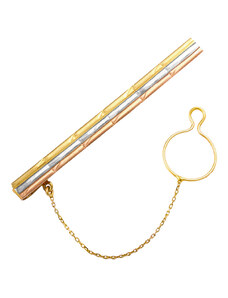 GEMMAX Jewelry Luxusní zlatá pánská kravatová spona GMTCN-87531