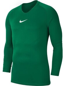 Triko s dlouhým rukávem Nike M NK DRY PARK 1STLYR JSY LS av2609-302