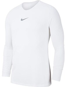 Triko s dlouhým rukávem Nike M NK DRY PARK 1STLYR JSY LS av2609-100