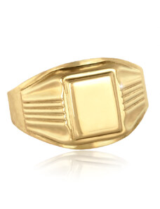 GEMMAX Jewelry Praktický pánský pečetní zlatý prsten masivní vel.68 GMRYN-68-20901