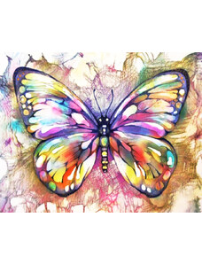 Gaira Malování podle čísel Motýl M991854Z