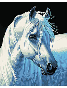 Gaira Malování podle čísel Bílý kůň M1387