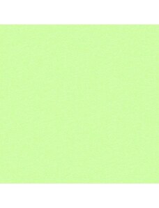 Polášek Holešov s.r.o. Froté prostěradlo na jednolůžko - 90 x 200 cm - světle zelené - Český výrobek