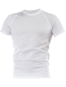Lamido Pánské tričko krátký rukáv Coolbest bílá