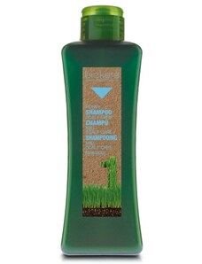 Salerm Cosmetics Salerm Biokera Scalp Care šampón pro citlivou pokožku 300 ml