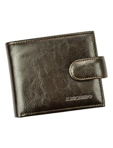 Pánská kožená peněženka Z.Ricardo 051S-A hnědá