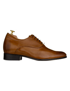 DOPHAM'S - Oxford Brown