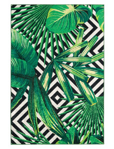 Obsession koberce DOPRODEJ: 160x230 cm Kusový koberec Exotic 214 green - 160x230 cm