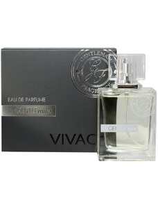 Vivaco Gentleman Fragrance parfém pánský 50 ml
