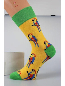 Lonka Barevné ponožky papoušek