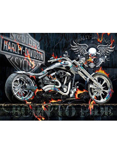 Amparo Miranda Malování podle čísel Harley Davidson - Born to ride