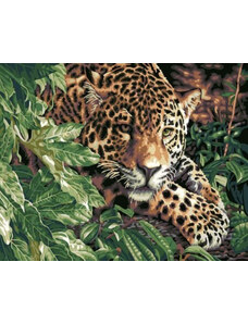 Amparo Miranda Malování podle čísel Leopard