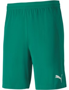 Šortky Puma teamFINAL 21 knit Shorts 70425705