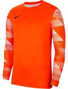 Dres s dlouhým rukávem Nike Y NK DRY PARK IV JSY LS GK cj6072-819