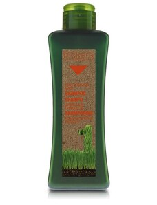 Salerm Cosmetics Salerm Biokera šampón pro poškozené vlasy 1000 ml
