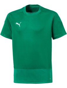 Dres Puma teamGOAL 23 Training Jersey Jr 65656905