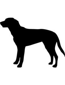 Gravon Samolepka pes - Velký Švýcarský salašnický pes