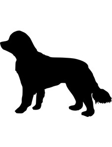 Gravon Samolepka pes - Novofundlandský pes