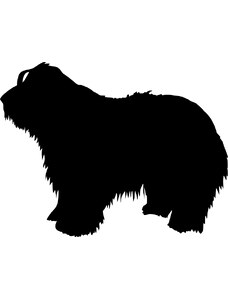 Gravon Samolepka pes - Bearded kolie