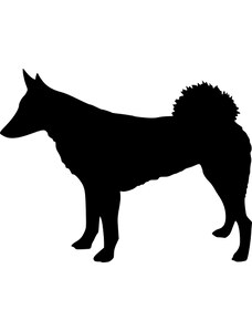 Gravon Samolepka pes - Západosibiřská lajka